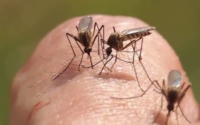 Kem đánh răng giảm sưng, giảm ngứa