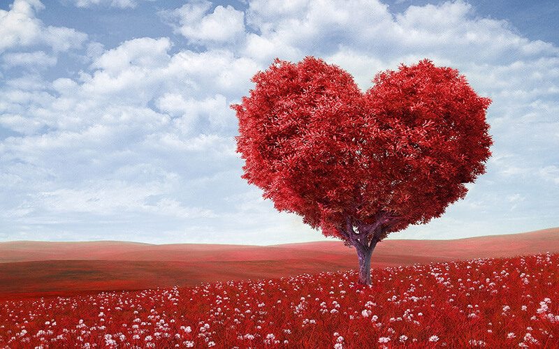 Những stt và câu nói hay về tình yêu Nam Nữ