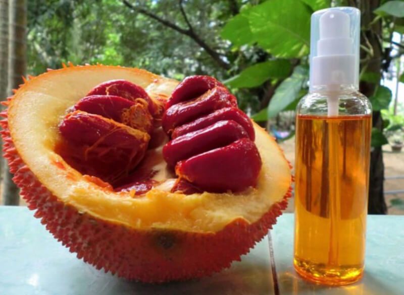 Cách làm son môi từ dầu gấc