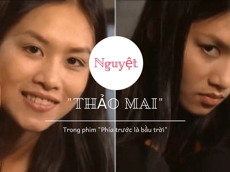 thảo mai là gì