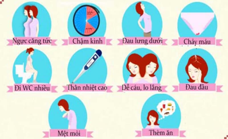 Tổng hợp các dấu hiệu có thai ngay những tuần đầu tiên