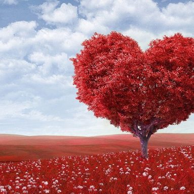 Những stt và câu nói hay về tình yêu Nam Nữ
